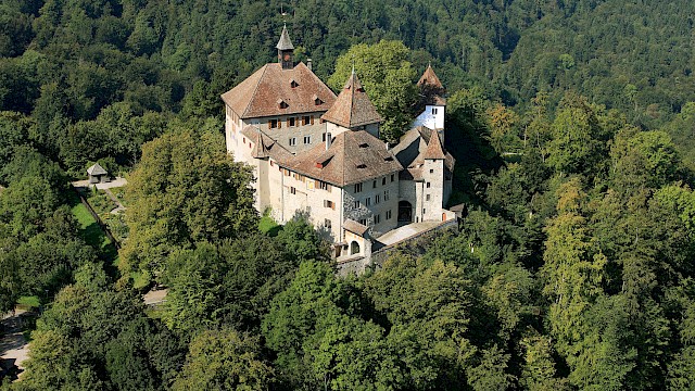 Luftaufnahme Schloss Kyburg