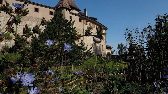 Schlossgarten Kyburg