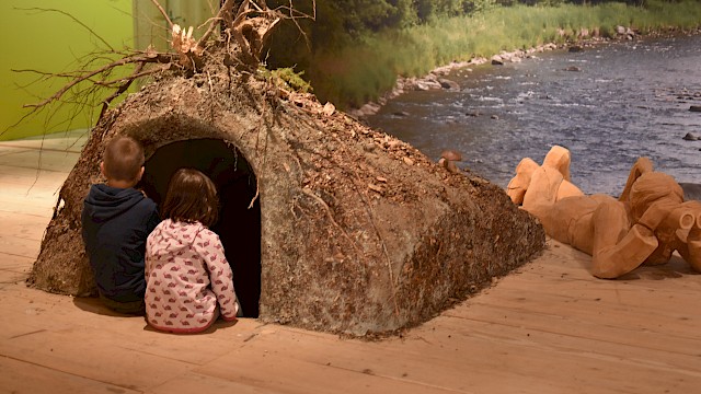 Dachsbau in der Ausstellung "WaldWildnisWir". © Wildnispark Zürich