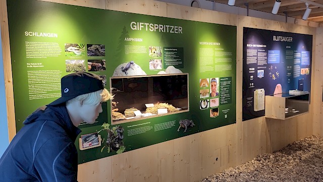 Ausstellung "Achtung Gefahr?" - Gefährliche und weniger gefährliche einheimische Wildtiere