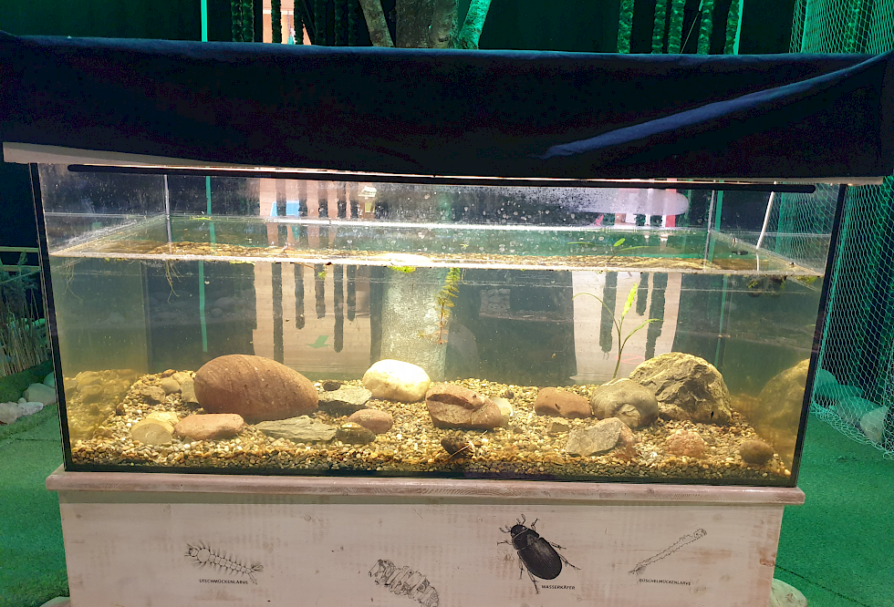 Aquarium (ohne Filter)
