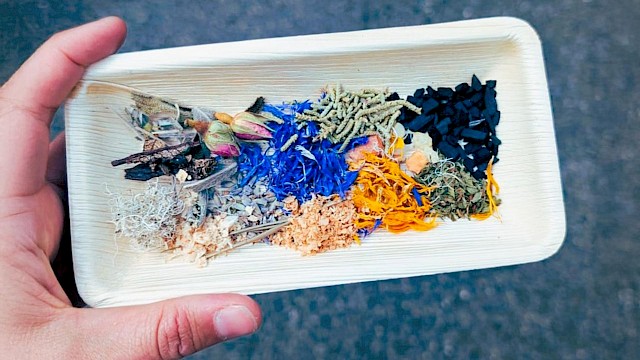 Internationaler Museumstag