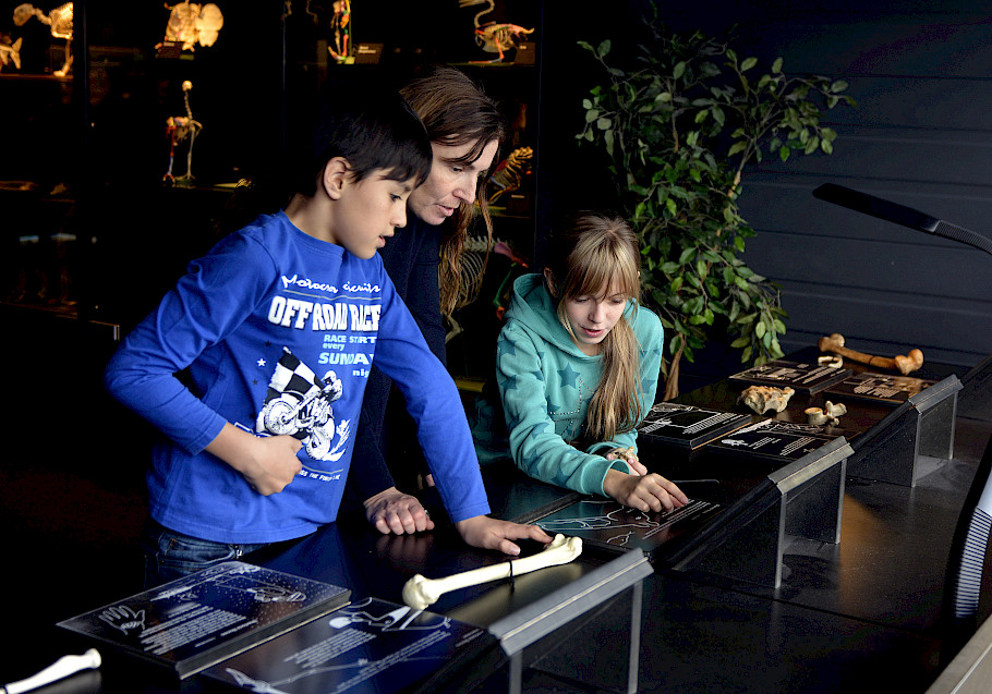 Familienangebote im Museum